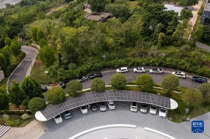 1673062949244187.jpg 6.jpg